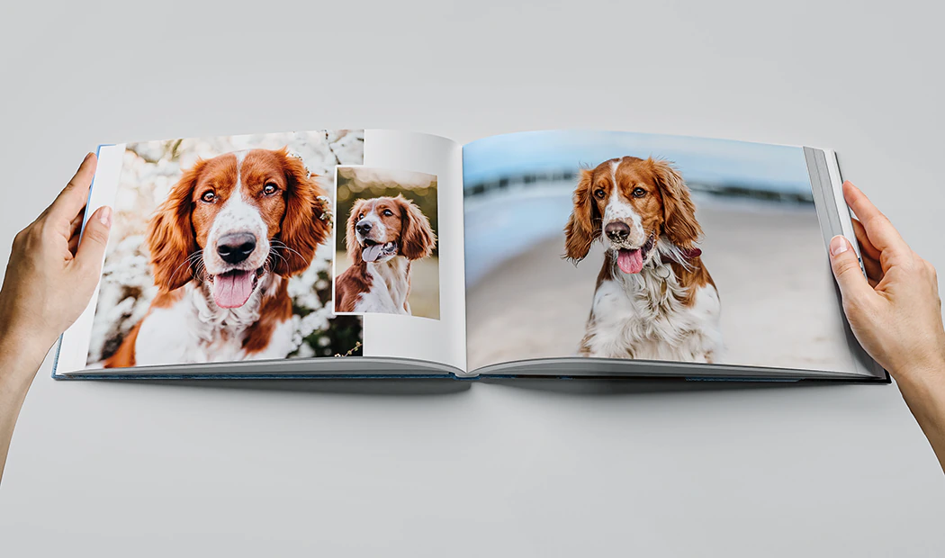 Large Fabric Photo Albums