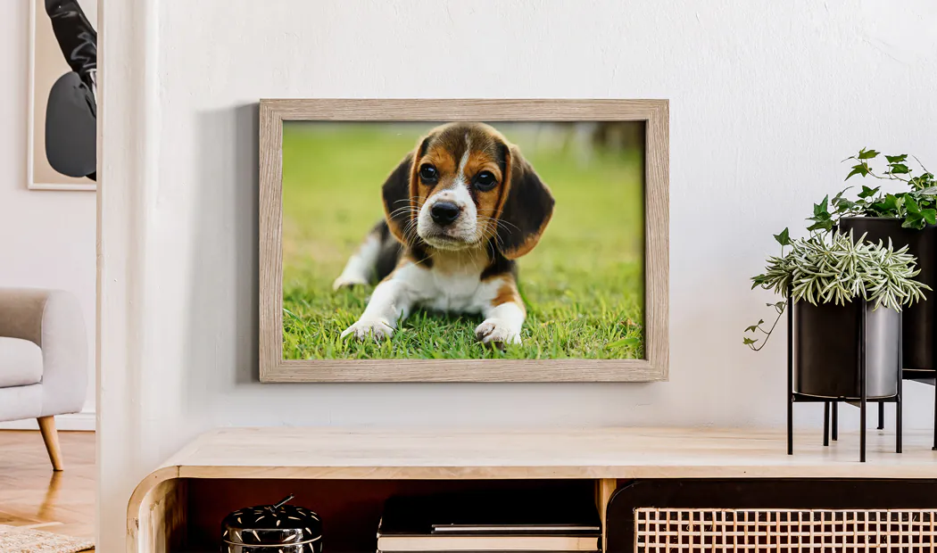Framed Photo Prints