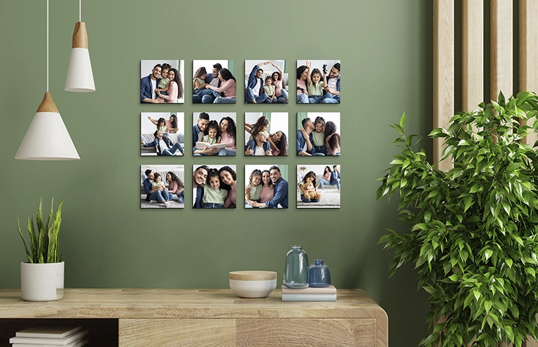 Pack of 12