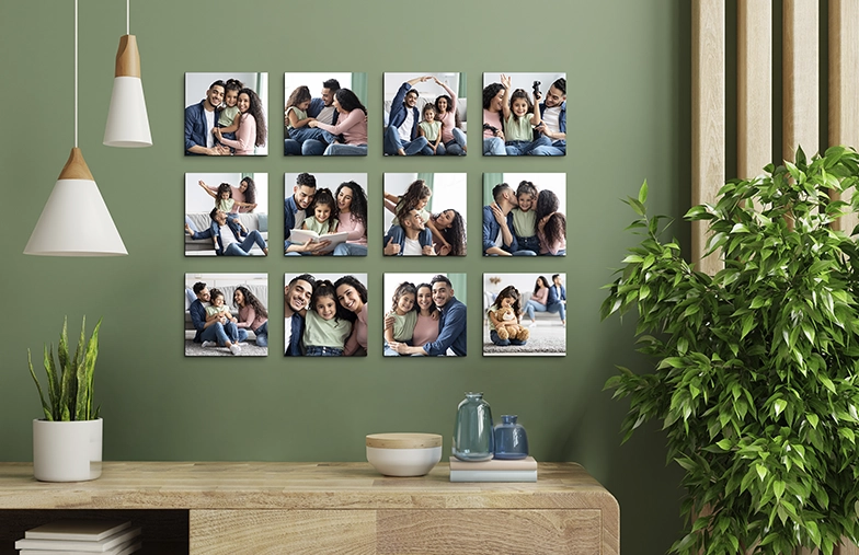 Pack of 12
